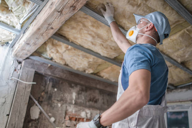 Best Eco-Friendly Insulation in Talpa, NM